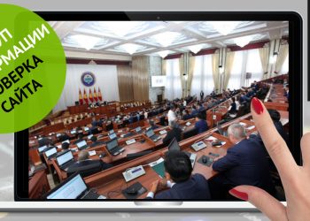 Маалыматка жеткиликтүүлүк. Жогорку Кеңештин сайтын анализдөө