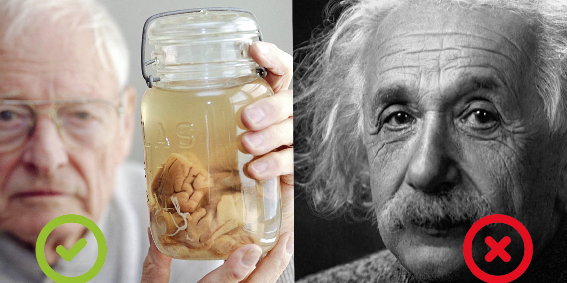 Эйнштейн каза болгондо мээси уурдалганбы? Чын же калп тесттинен өтүңүз