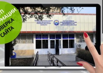 Мамлекеттик каттоо кызматынын сайтынан маалымат алуу ыңгайлуубу анализдейбиз