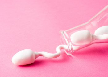 Жыныстык катнашка бара элекмин