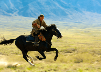 Семетей баатырдын миңген атын билесизби? Жаңылбайм десеңиз тесттен өтүңүз