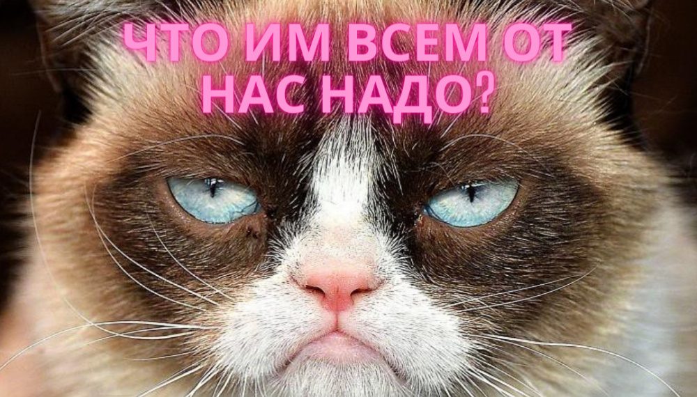 Мамлекеттик органдар жарандардын сурамдарына кантип жооп берет? Эксперимент