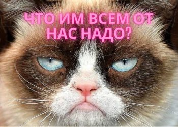 Мамлекеттик органдар жарандардын сурамдарына кантип жооп берет? Эксперимент