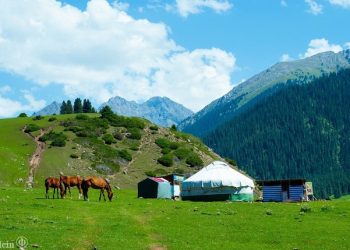 Тест: Кыргызча туура жаза аласызбы? Өзүңүздү сынап көрүңүз