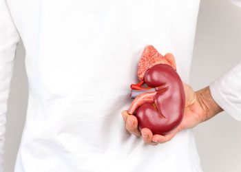 УЗИге түшсөм бөйрөгүмдө киста бар экен. Ичимдеги балага зыяны тийбейби?