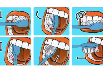 Тишти туура жуунун жөнөкөй эрежелери