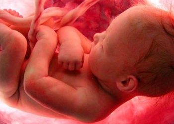 Сифилис менен ооруганым кош бойлуулукка таасир береби?