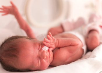 Жети айлык балам эмчек эмбейт. Кайсы сүттү берсем салмагы жакшы кошулат?