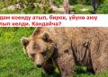 Бул табышмакты тапкан адам акылдуу