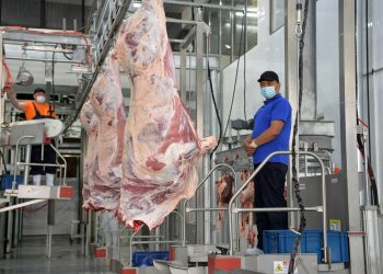 «Айыл Банктын» колдоосу менен өлкөдөгү эң ири эт комбинаты ишке киришти