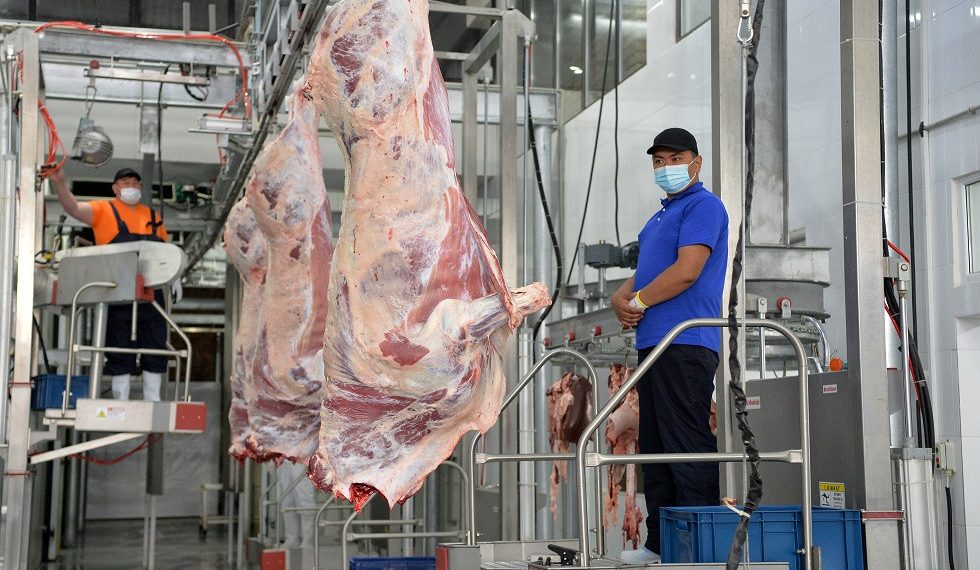 «Айыл Банктын» колдоосу менен өлкөдөгү эң ири эт комбинаты ишке киришти