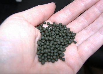 Адистен кеңеш: Кантип насвайды таштаса болот?