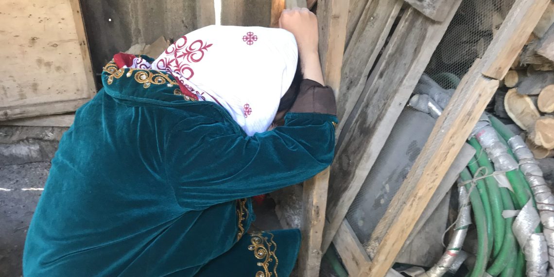 Кайын энем небере карагысы келбей турганын айтып ыйлады