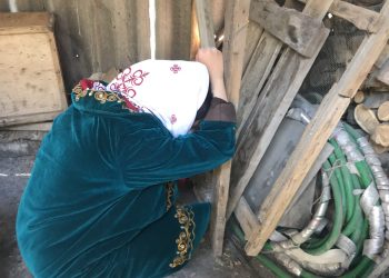 Кайын энем небере карагысы келбей турганын айтып ыйлады