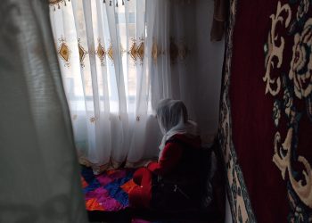 Конок тосуп жатсак