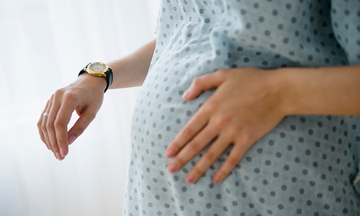 Бул 6 белги толгоо башталганын билдирет