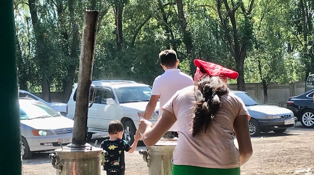 Колунан эч нерсе келбейт деген жеңем апамдын оозун ачырды