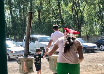 Колунан эч нерсе келбейт деген жеңем апамдын оозун ачырды