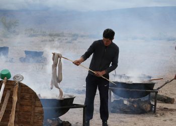 Кой сойгонду үйрөткөн кайын энеме ыраазымын