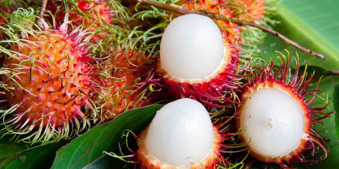 Бул экзотикалык мөмө кандай аталат? Тесттен өтүңүз