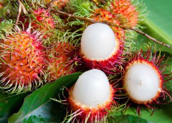 Бул экзотикалык мөмө кандай аталат? Тесттен өтүңүз