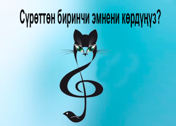 Психологиялык тест: Башкалар сизди кандай көрөт?