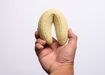 Жыныс мүчөнү сындырып алса болобу жана ал кандай коркунуч туудурат