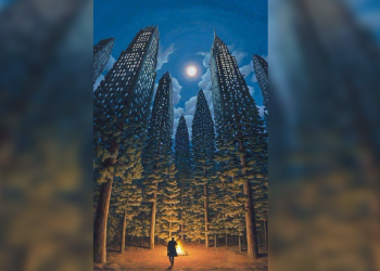 Психологиялык тест: Биринчи токойду көрдүңүзбү же шаардыбы?