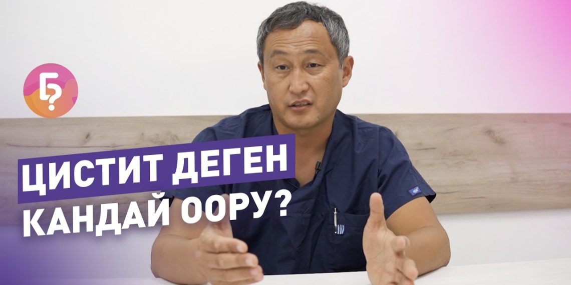 Цистит деген кандай оору? Урологдун жообу