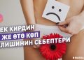 #КЫСКА_НУСКА: Этек кирдин аз же өтө көп келишинин себептери