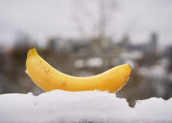 Эшиктеги суук жыныс мүчөгө кандай таасир берет? Уролог айтып берет