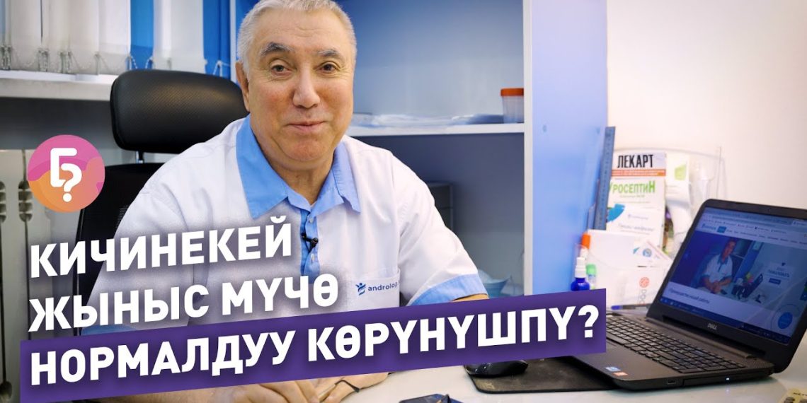 Кичинекей жыныс мүчө нормалдуубу? Уролог айтып берет