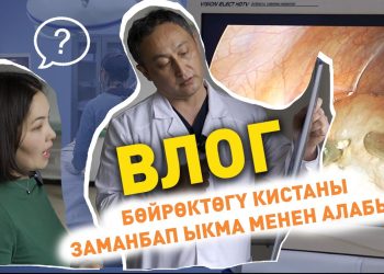 Бөйрөккө операция жасаш үчүн дененин үч гана жери тешилет