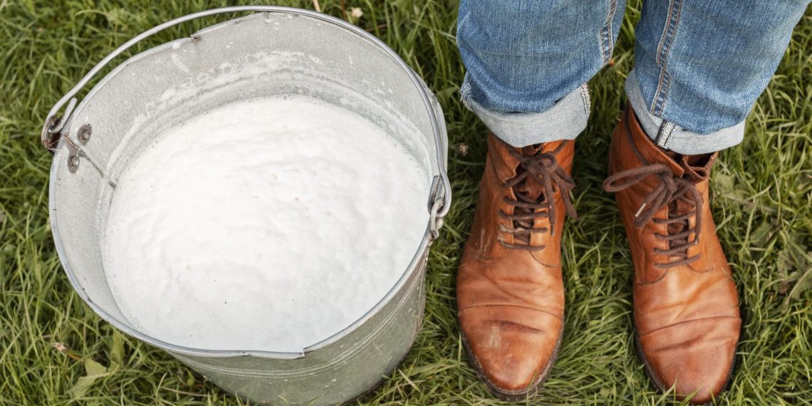 Фермер Николай Өмүрбаев: Төрт уйдун сүтүнөн жумасына 17-18 миң сом акча түшөт