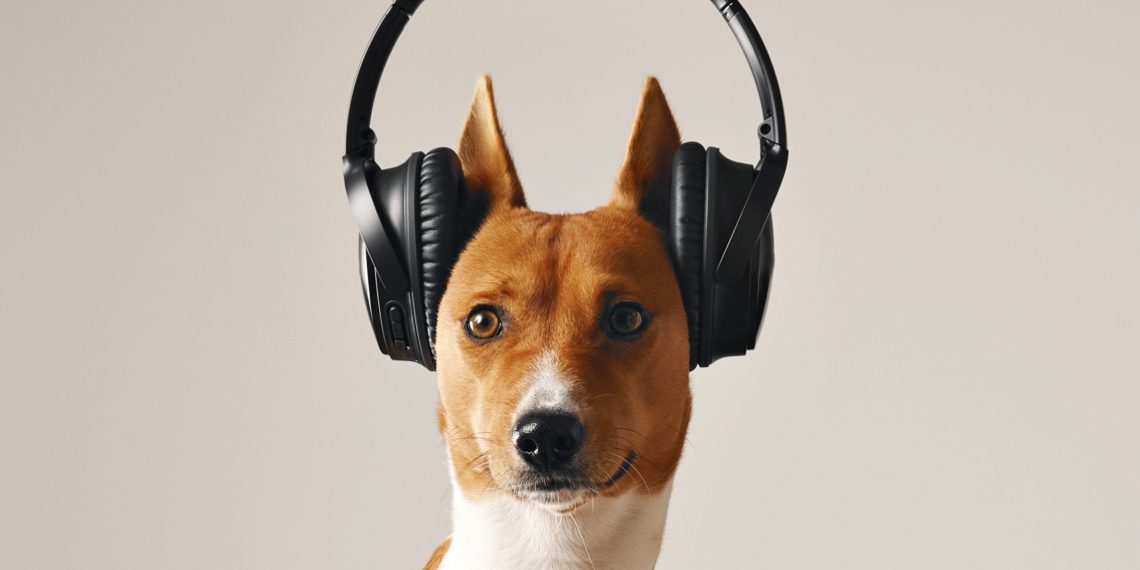 Англис тилин үйрөнүү үчүн 13 подкаст