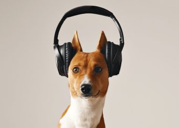 Англис тилин үйрөнүү үчүн 13 подкаст