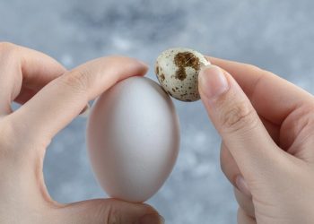 Бир айлык баламдын бир жумурткасы качан ордуна түшөт?