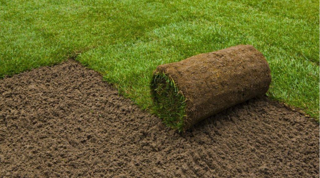 Кызыл китеби жок