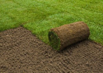 Кызыл китеби жок