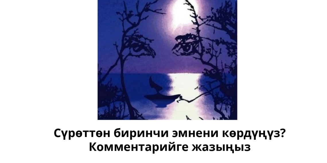 Психологиялык тест: Сүрөттү карап биринчи эмнени көрдүңүз?