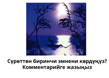 Психологиялык тест: Сүрөттү карап биринчи эмнени көрдүңүз?