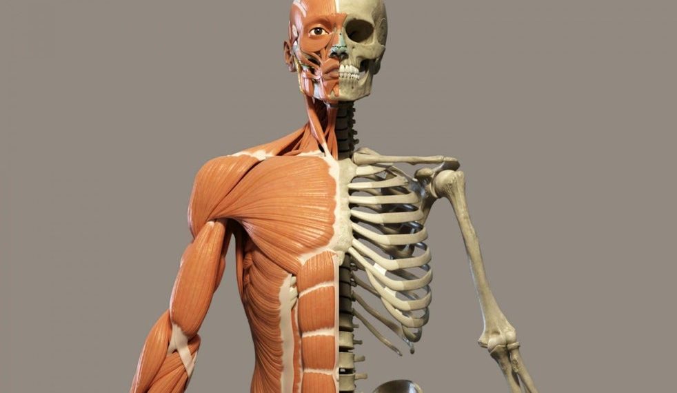 Чычаңдын орусчасы аталышы кандай? Акылдуулар үчүн тест