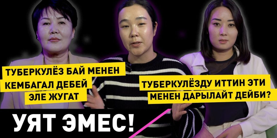 Туберкулёзду иттин эти менен дарылайт дейби? Подкаст