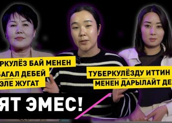 Туберкулёзду иттин эти менен дарылайт дейби? Подкаст