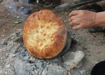 Бул от нанбы же жапкан нанбы? Курсакты кампайткандар үчүн тест