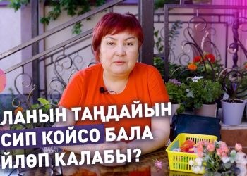 Таңдайды кесип койсо бала сүйлөп калабы? Логопед Гульнара Ногойбаева жооп берет