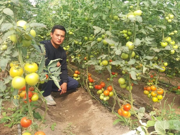 Үч жылга алган насыясын бир жылда төлөп бүткөн Нурсултандын ийгилик сыры