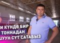 Уйларыңыз тонналап сүт берсин десеңиз