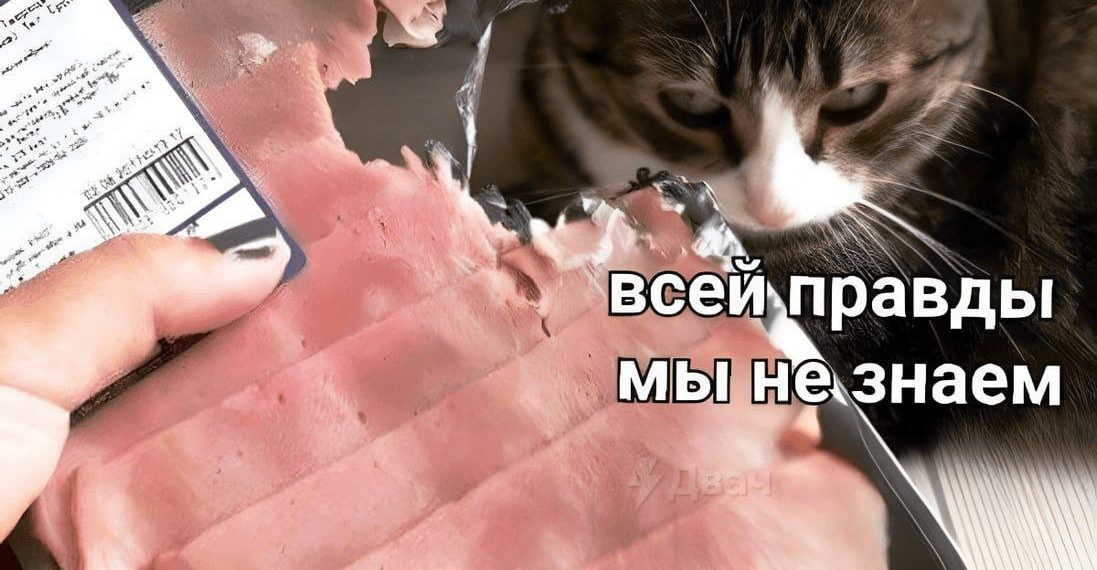 Баары биз ойлогондой эмес