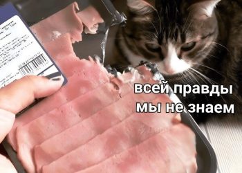 Баары биз ойлогондой эмес